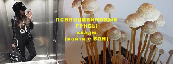МДПВ Алексин