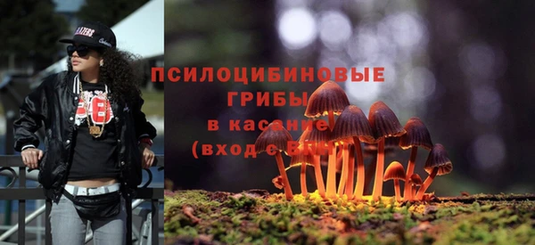 прущая мука Алзамай